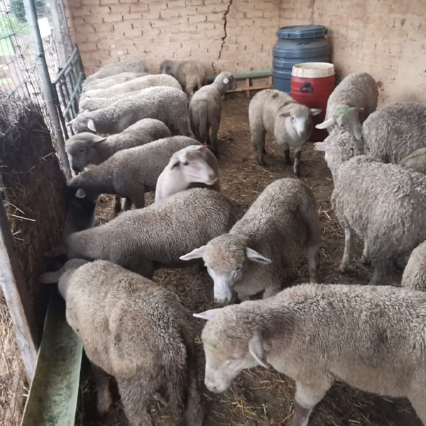 Farm products