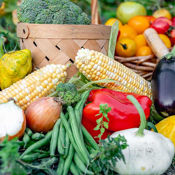 Farm to table